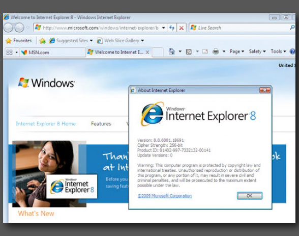 Internet Explorer 8.0 скачать